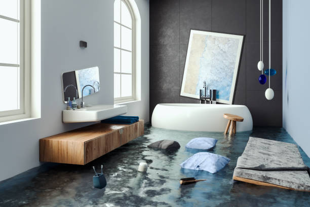 Best Water damage restoration company  in Elwood, IL