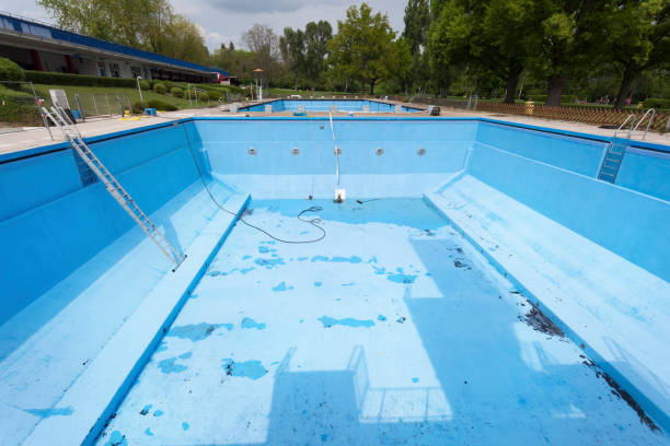 Best Flood restoration services  in Elwood, IL