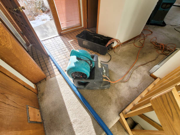 Best Water damage cleanup near me  in Elwood, IL