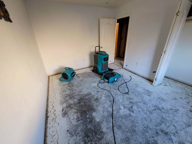 Elwood, IL Water damage restoration Pros