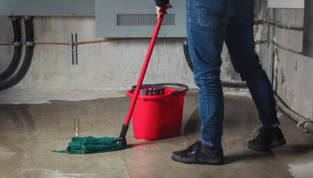 Best Ceiling water damage repair  in Elwood, IL