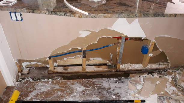 Best Emergency water damage restoration  in Elwood, IL