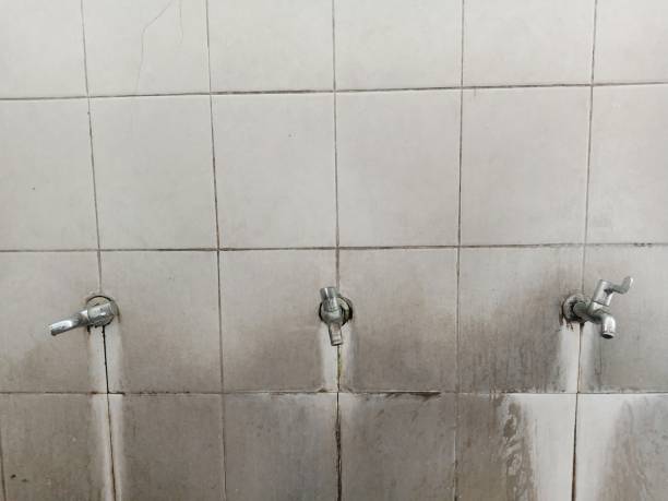 Best Flood damage cleanup  in Elwood, IL