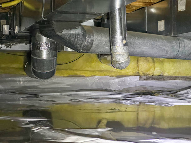 Best Water damage restoration experts  in Elwood, IL