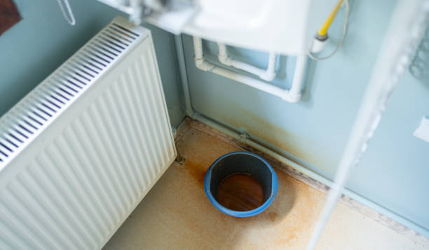 Best Flooded house restoration  in Elwood, IL