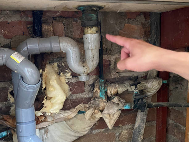 Best Basement water damage restoration  in Elwood, IL